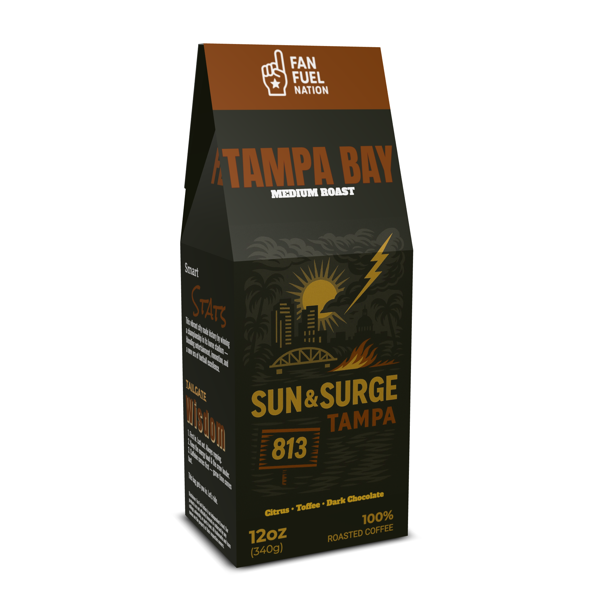Tampa Bay-"Sun & Surge"